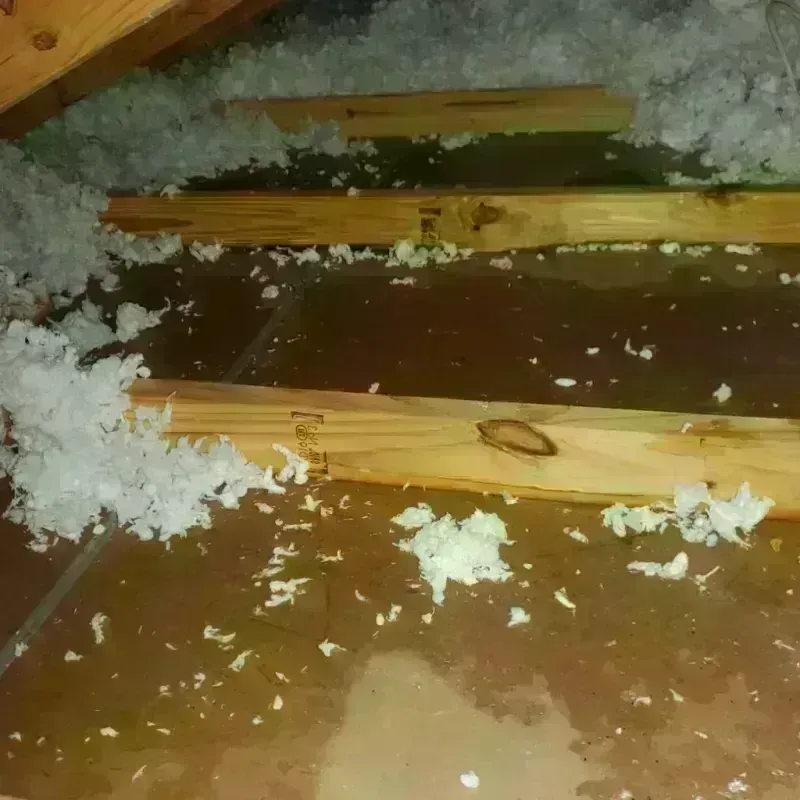 Attic Water Damage in Litchfield Park, AZ