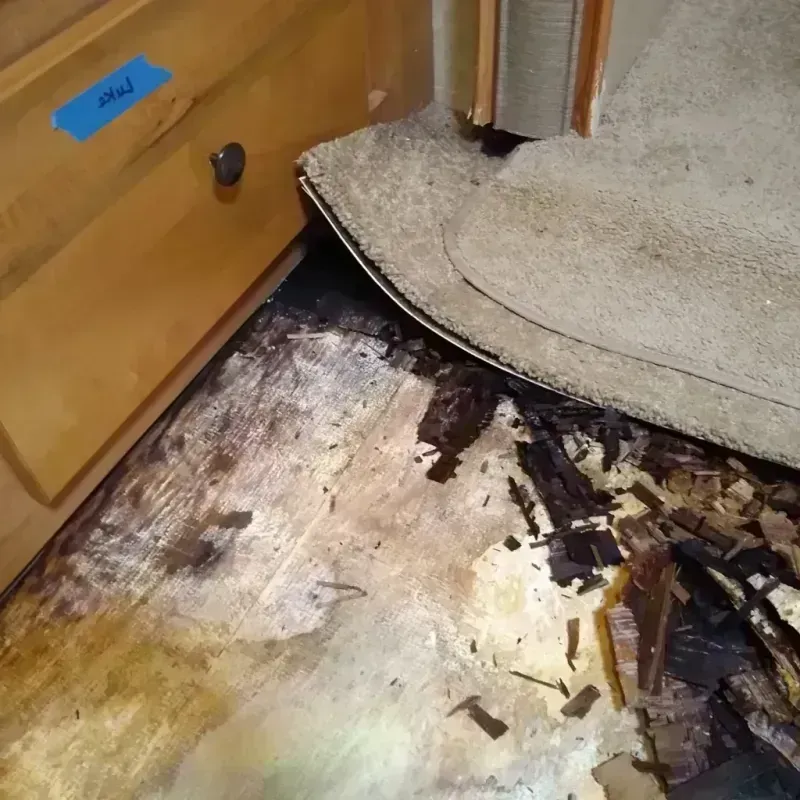 Best Wood Floor Water Damage Service in Litchfield Park, AZ